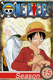 One Piece: 15 Temporada