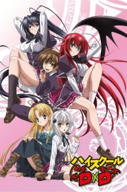 High School DxD