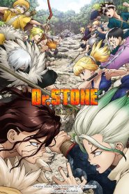 Dr. Stone