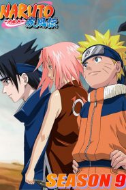 Naruto Shippuden: Season 9