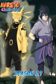 Naruto Shippuden: Season 19