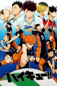 Haikyuu!!: Season 1