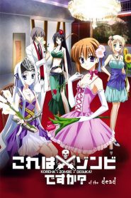 Kore wa Zombie Desu ka?: Temporada 2