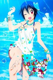 Nisekoi: Season 2