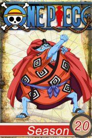 One Piece: 20 Temporada