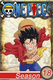 One Piece: 18 Temporada