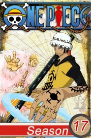 One Piece: 17 Temporada