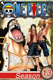 One Piece: 13 Temporada