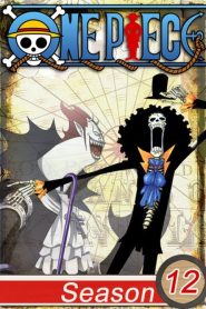 One Piece: 12 Temporada