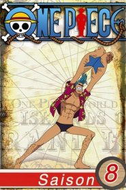 One Piece: 8 Temporada