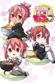 Yuuki Yuuna wa Yuusha de Aru: Dai Mankai no Shou: 1 Temporada