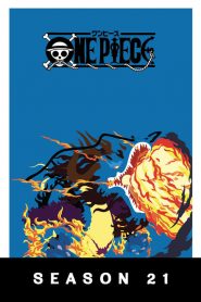 One Piece: 21 Temporada