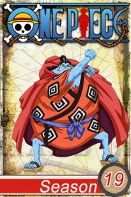 One Piece: 19 Temporada