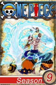 One Piece: 9 Temporada