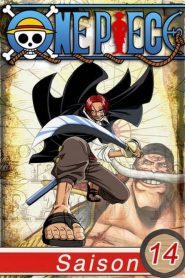 One Piece: 14 Temporada